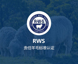RWS认证咨询
